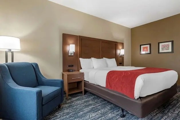 Comfort Inn & Suites Downtown near University - Oda