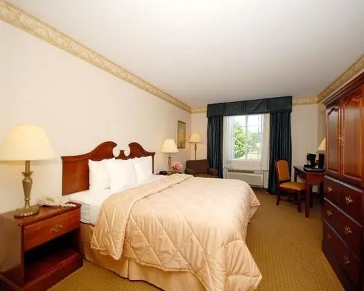 Comfort Inn & Suites East Greenbush - Albany