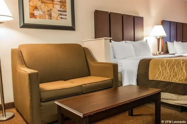 Comfort Inn & Suites Fenton