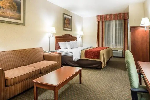 Comfort Inn & Suites Galt - Lodi North