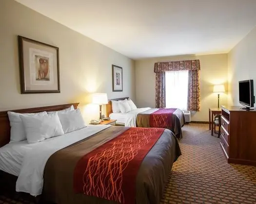 Comfort Inn & Suites Harrisonville - Genel