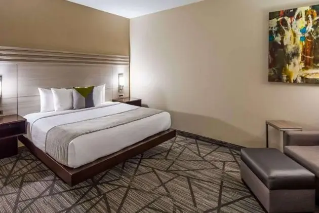 Comfort Inn & Suites Houston I-45 North - IAH - Oda
