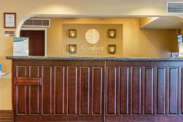 Comfort Inn & Suites Jasper Hwy 78 West - Lobi