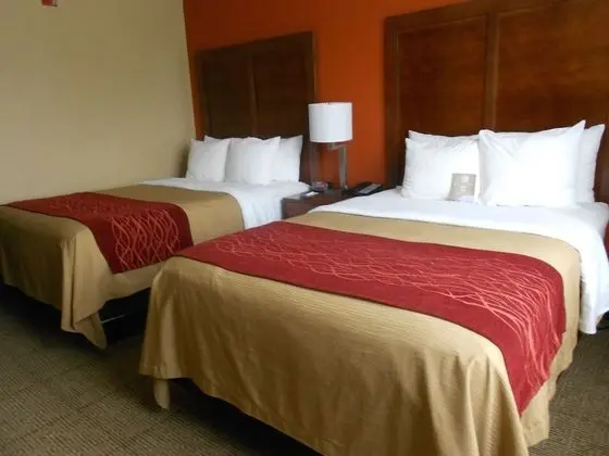 Comfort Inn & Suites Lakeland North I-4 - Oda