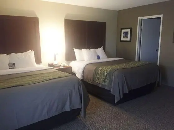 Comfort Inn & Suites Little Rock Airport