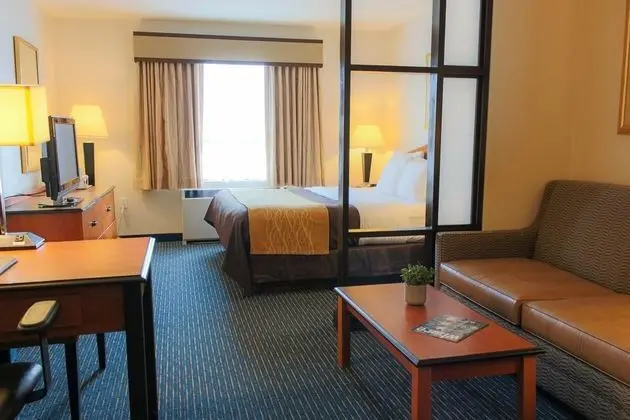 Comfort Inn & Suites Logan-Airport - Genel