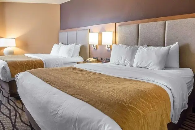 Comfort Inn & Suites Market - Airport