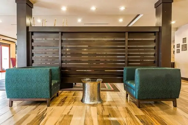 Comfort Inn & Suites Newcastle - Oklahoma City - Lobi