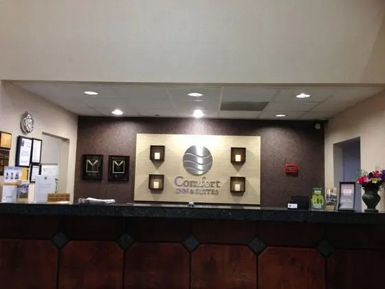 Comfort Inn & Suites Peachtree Corners - Genel