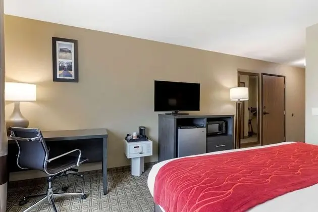 Comfort Inn & Suites Ponca City near Marland Mansion - Oda