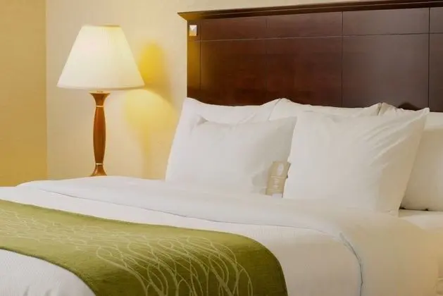 Comfort Inn & Suites Pottstown - Limerick