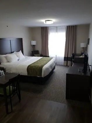 Comfort Inn & Suites Red Deer - Oda