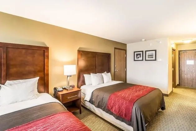 Comfort Inn & Suites Rifle - Oda