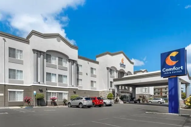 Comfort Inn & Suites Sacramento - 1