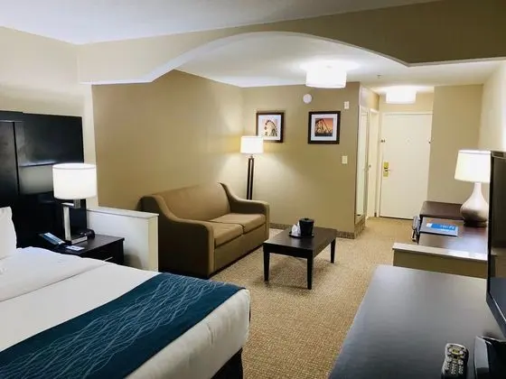 Comfort Inn & Suites Smyrna - Öne Çıkan Resim