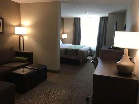 Comfort Inn & Suites Snyder
