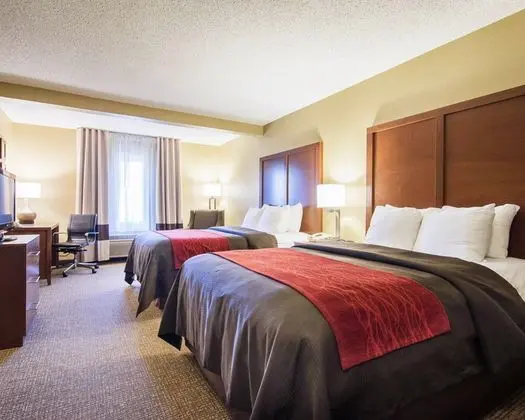 Comfort Inn & Suites Suwanee - Sugarloaf - Oda