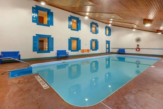 Comfort Inn&Suites Thousand Island Harbour Distric - Havuz