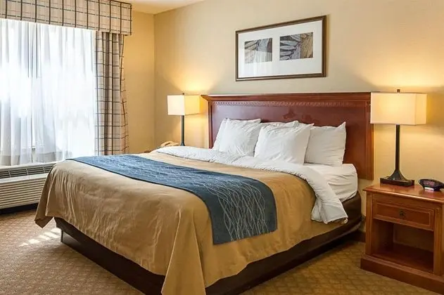 Comfort Inn & Suites Virginia Beach  Norfolk Airpo