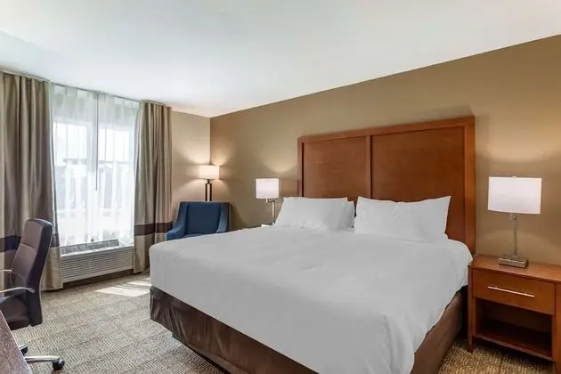 Comfort Inn & Suites Waller - Oda