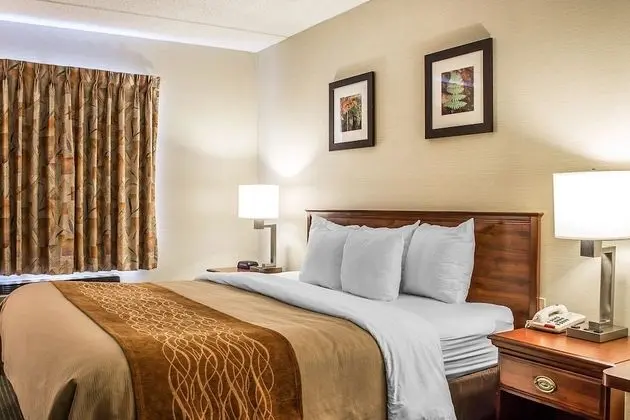 Comfort Inn & Suites Wilkes Barre - Arena - Oda