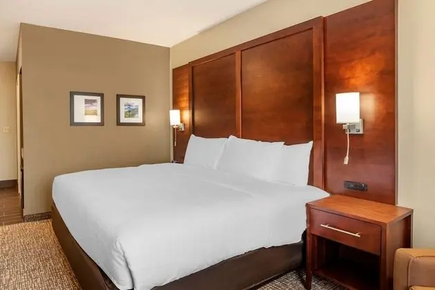 Comfort Inn & Suites - Oda