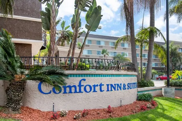 Comfort Inn and Suites Zoo Seaworld Area