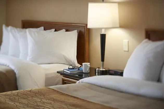 Comfort Inn Hotel Swift Current - Genel