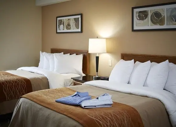 Comfort Inn Sydney