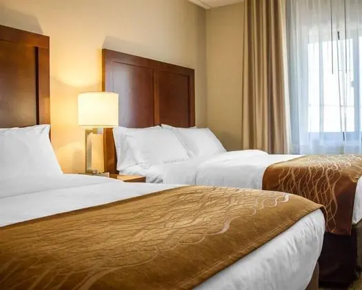 Comfort Inn Syosset - Jericho