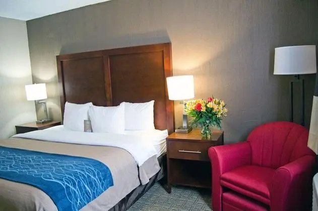 Comfort Inn University Amherst Area
