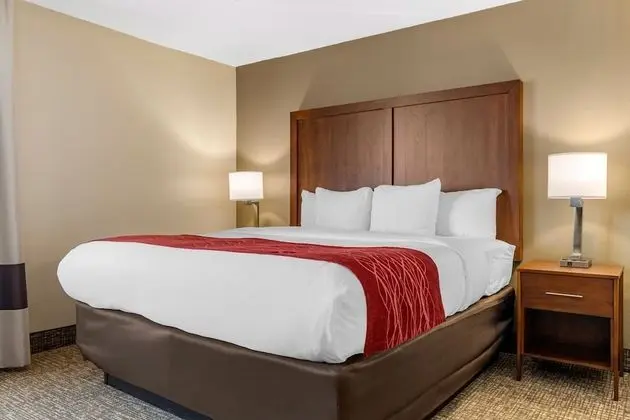Comfort Inn University Wilmington - Oda