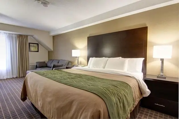 Comfort Inn Hotel Windsor