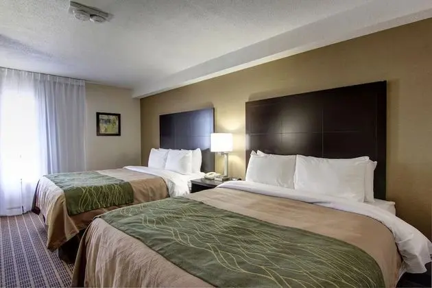 Comfort Inn Hotel Windsor