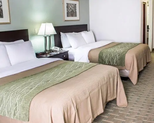 Comfort Inn - Genel