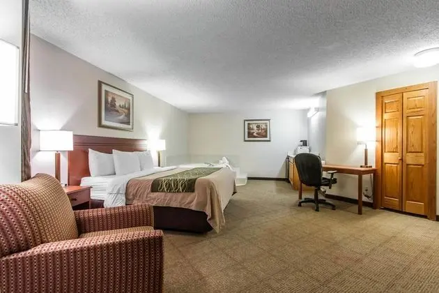 Comfort Inn at the Zoo