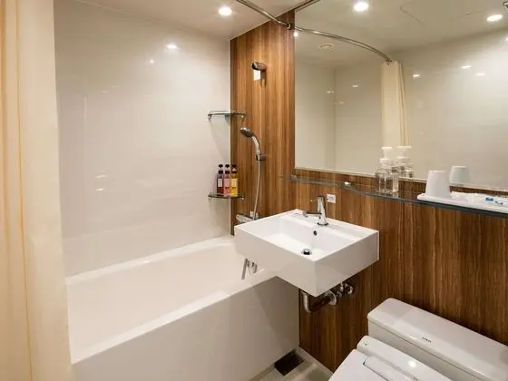 Comfort Hotel Sapporo Susukino - Banyo Tipleri