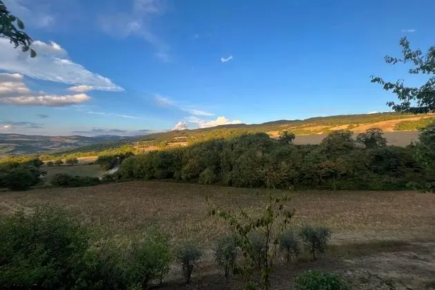 Comfort Suite Apt On The Countryside