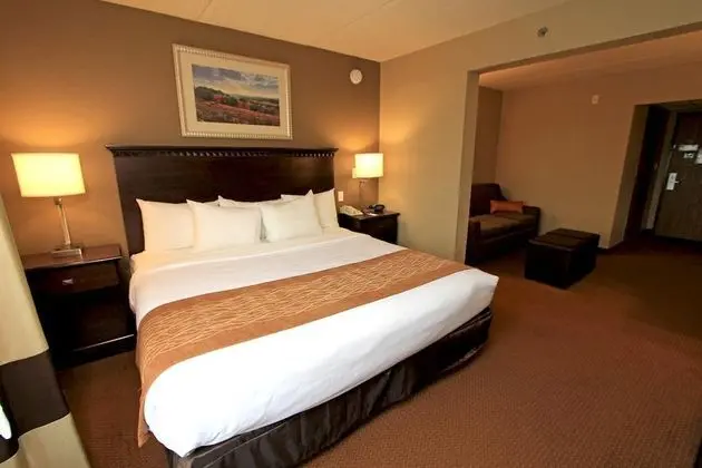 Comfort Suites Airport - Austin