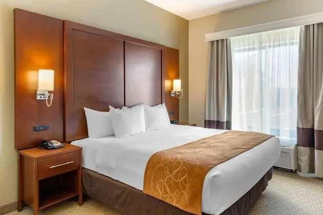 Comfort Suites Amish Country - Oda