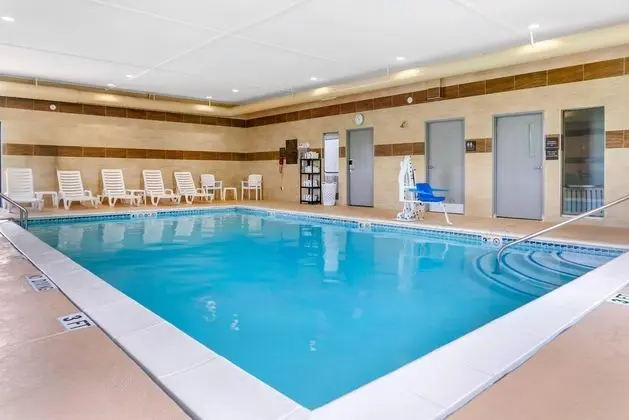 Comfort Suites Auburn Hills - Havuz