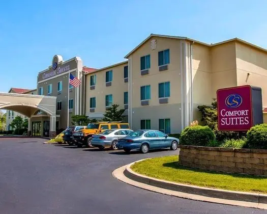 Comfort Suites Benton Harbor - St. Joseph