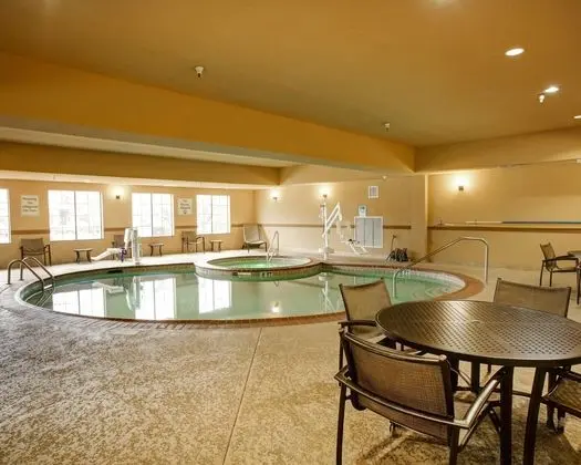 Comfort Suites Buda Austin South - Havuz