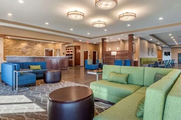 Comfort Suites Camp Hill-Harrisburg West - Lobi