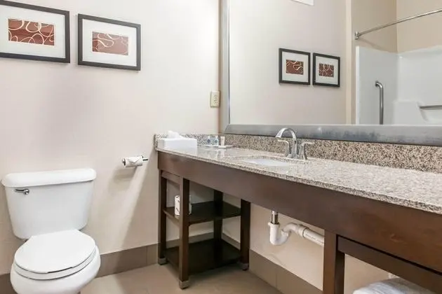 Comfort Suites Columbus Area