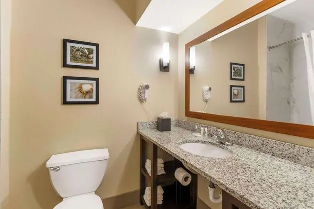 Comfort Suites (Conway) - Oda