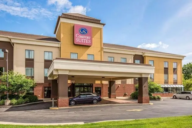 Comfort Suites East St. Louis - Genel