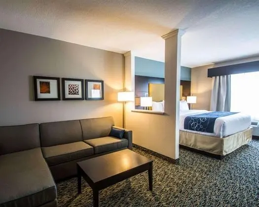 Comfort Suites Fort Lauderdale Airport South & Cru - Lobi