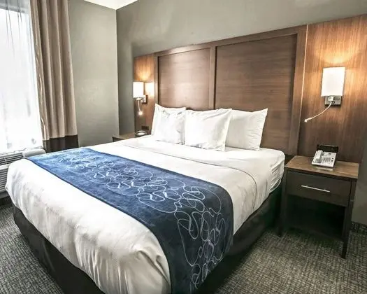 Comfort Suites Houston NW - Vintage Park - Oda