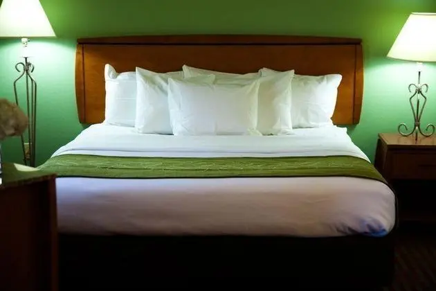 Comfort Suites (Leesburg) - Genel